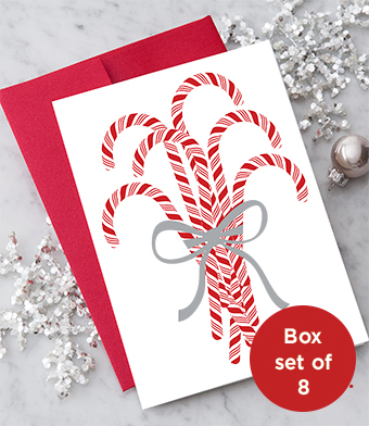 Design with Heart Studio - Candy Cane Bundle Box Set