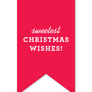 Red Christmas Wishes Gift Tag