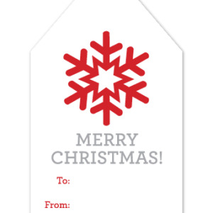 Merry Christmas Snowflake